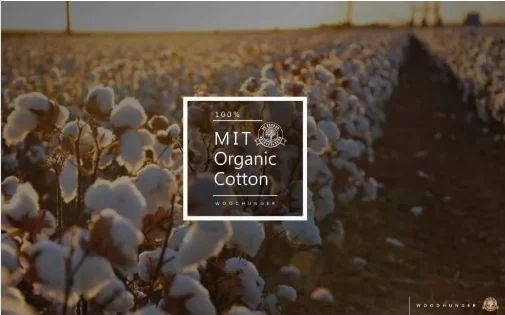 MIT Organic Cotton 有機棉花 鞋帶棉:圖片 3